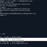 ssh command for linux beginners
