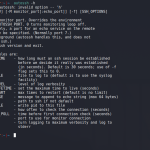 Persistent SSH Connection Linux