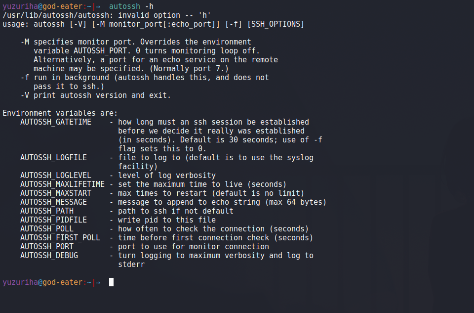 Persistent SSH Connection Linux