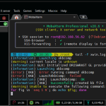 Best SSH Client for Linux