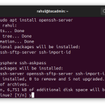 update openssh on ubuntu